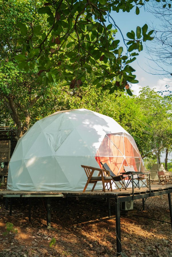 Hébergements de glamping authentiques : la nouvelle tendance du tourisme nature
